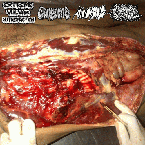 Ustel : Gangrene ​-​ Ustel ​- Nucleus ​- ​Extreme Vulvar Putrefaction
